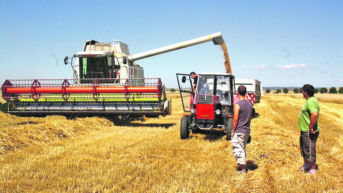 Platby zemědělcům budou bez omezení pro velké podniky